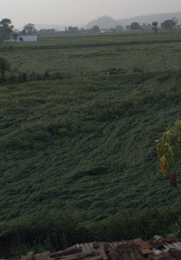 IMG-20210216-WA0017~2