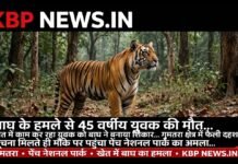 बाघ के हमले से 45 वर्षीय युवक की मौत: खेत में काम कर रहे युवक को बाघ ने बनाया शिकार, गुमतरा क्षेत्र में फैली दहशत…